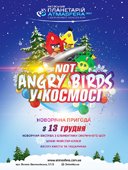 Новорічна вистава «Not Angry birds в Космосі» 