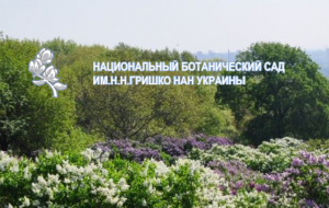 Ботанічний сад ім. Гришко
